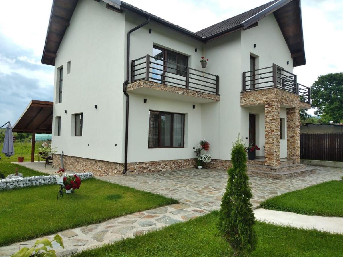 Pensiunea Casa Nusa Baia de Fier Extérieur photo