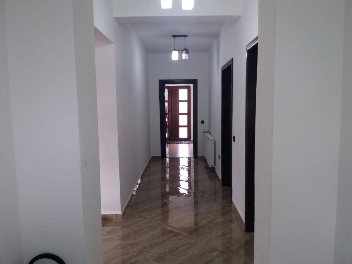Pensiunea Casa Nusa Baia de Fier Extérieur photo
