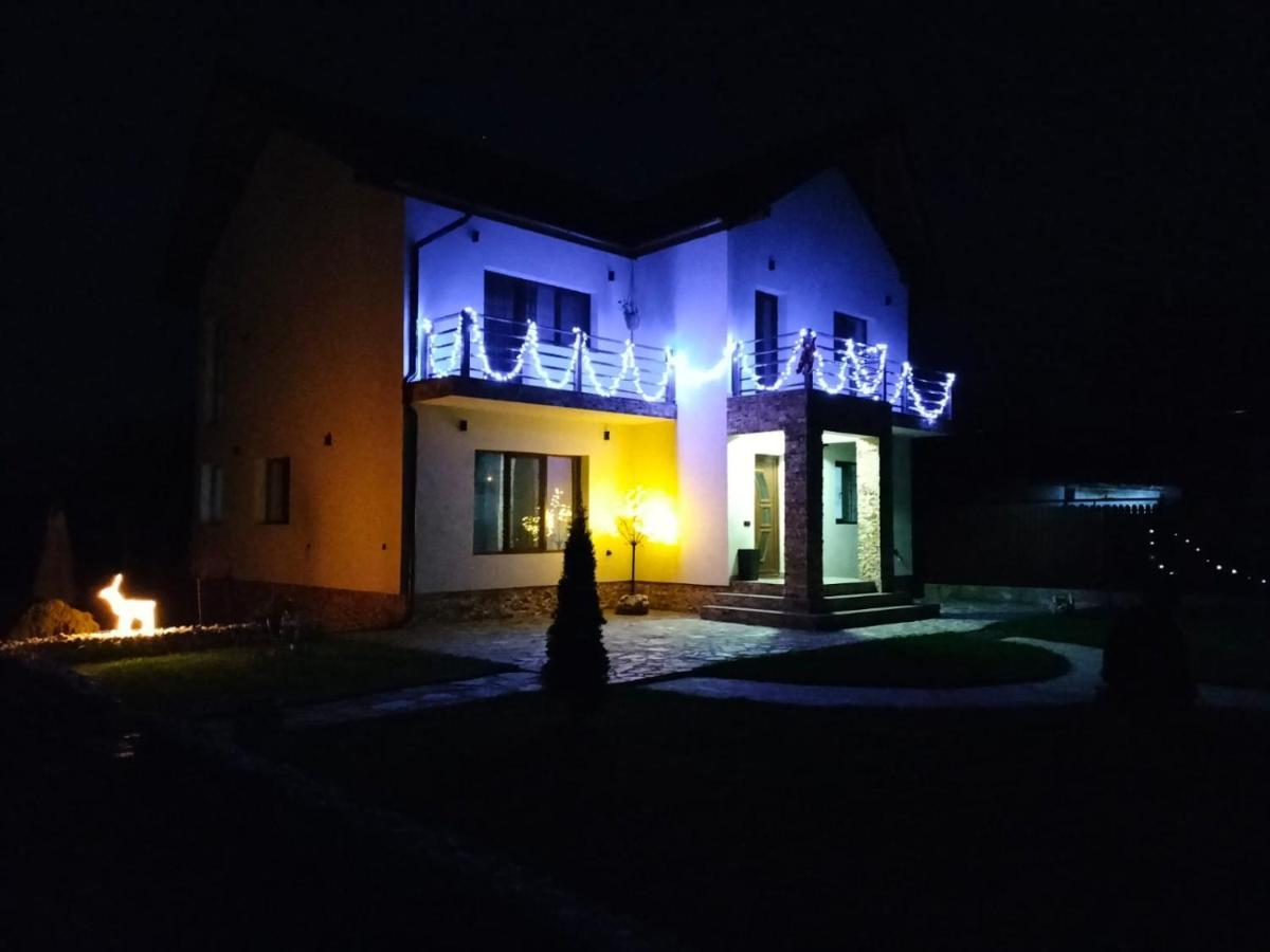 Pensiunea Casa Nusa Baia de Fier Extérieur photo