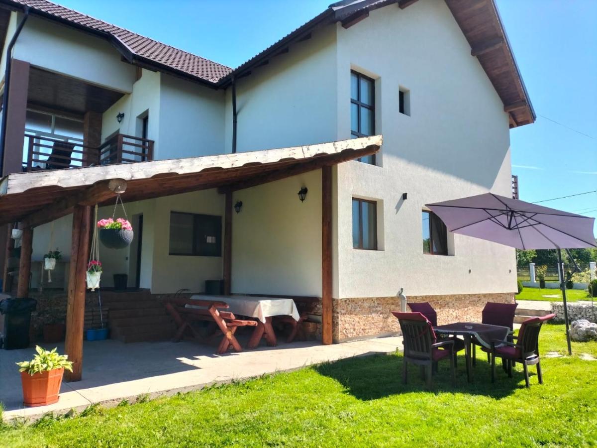 Pensiunea Casa Nusa Baia de Fier Extérieur photo